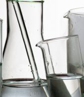 Suspendisse arcu nisl