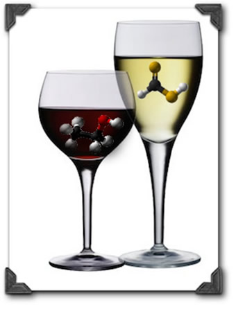 ΠΟΤΕ ΝΑ ΕΠΙΣΚΕΦΤΩ ΤΟΝ ΟΙΝΟΛΟΓΟ